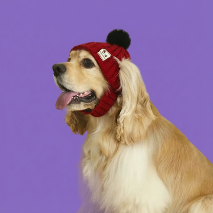Motemas Dog Hat