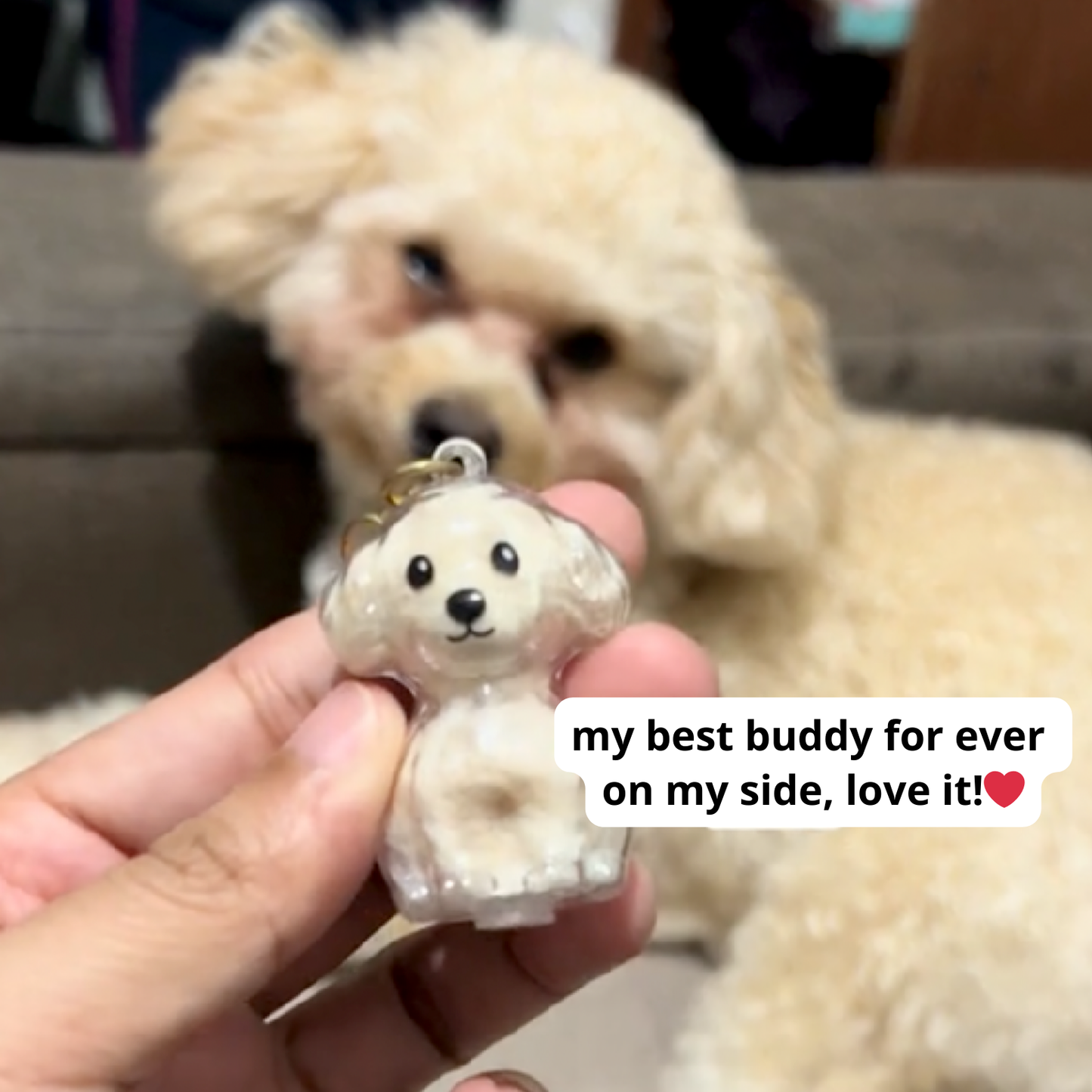 Motemas Pet Hair Keychain