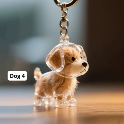 Motemas Pet Hair Keychain
