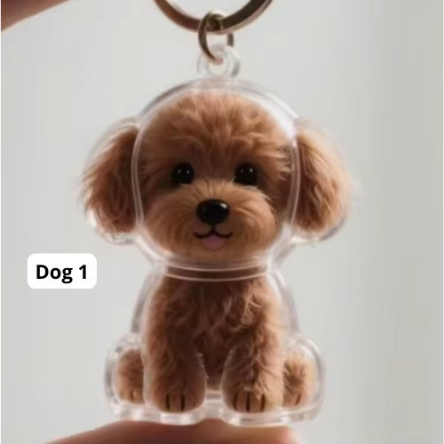 Motemas Pet Hair Keychain
