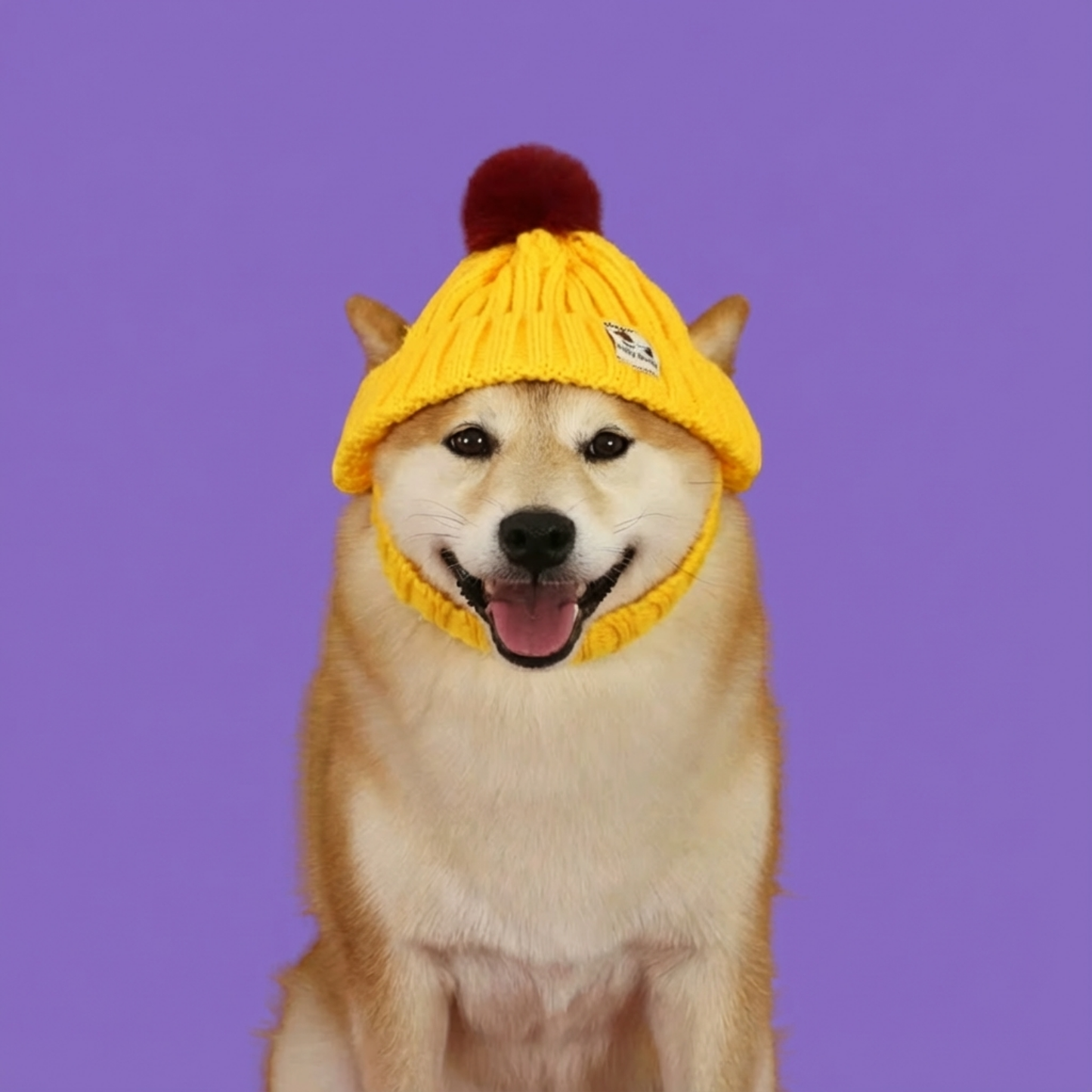 Motemas Dog Hat