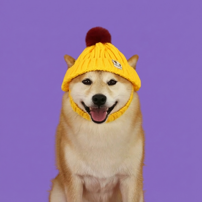 Motemas Dog Hat